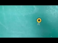 Anel magnético 4.7uH±20% Indutor toroidal de ferrita de fio duplo de ferida vertical